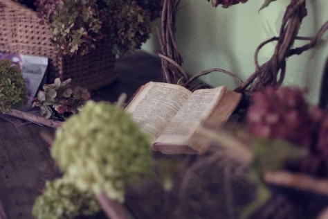 Українські книги в Європі: новий культурний тренд та сила літератури