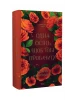 Времена года. Одна осень, чтобы тебя простить