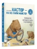 Кастор — на всі лапи майстер: вчимося робити все своїми руками
