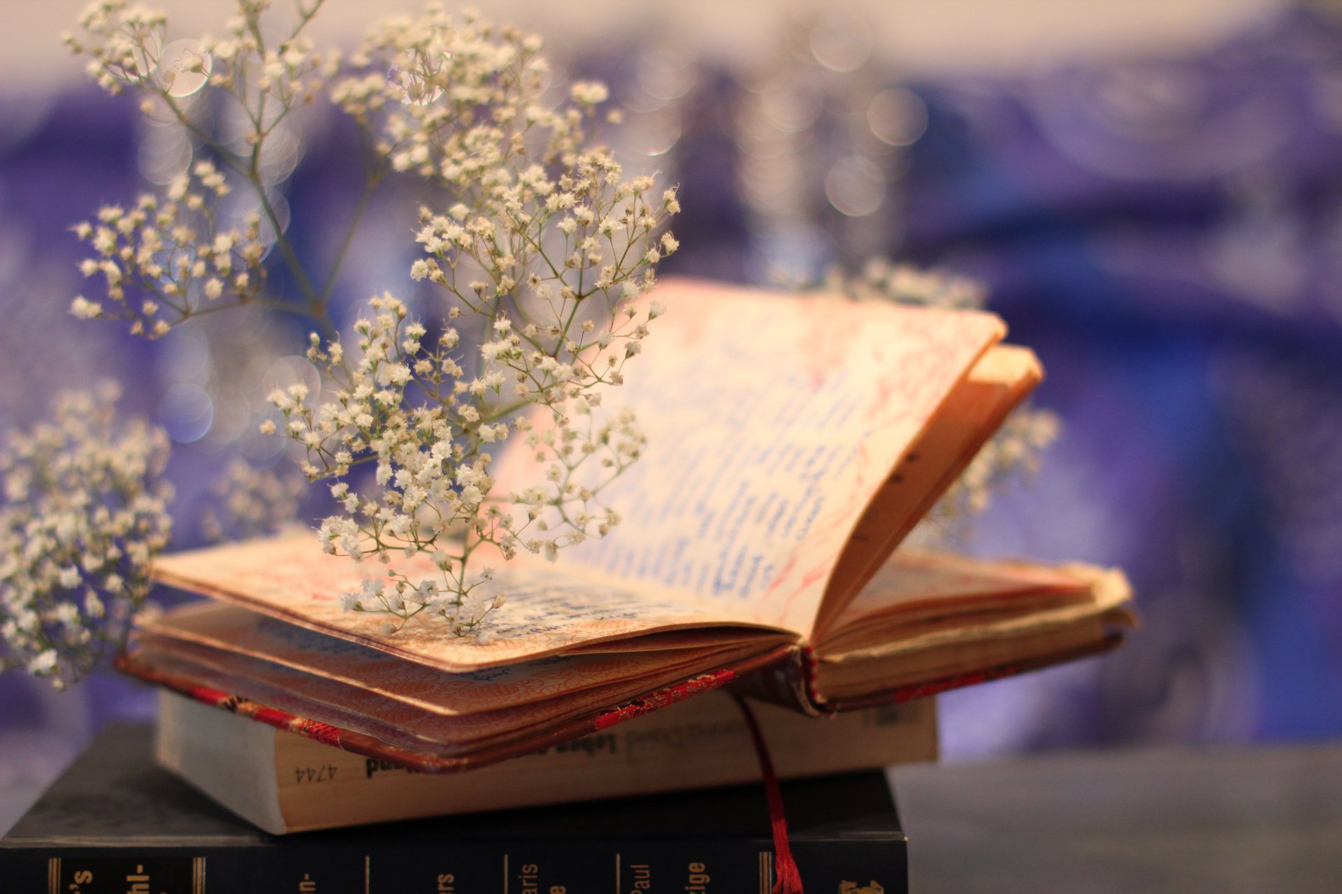 Читання емоційної книги про кохання просто неба — український переклад світового бестселера